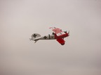 Albatros D.Va 25e